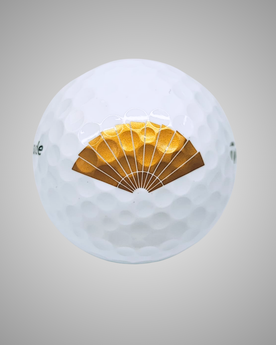 Check Out Our Portfolio